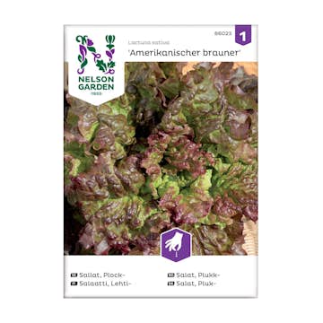 Frö Plocksallat Nelson Garden Amerikanischer brauner