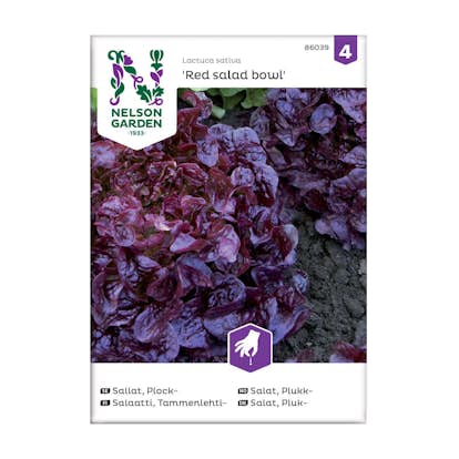 Frö Plocksallat Nelson Garden Red Salad Bowl