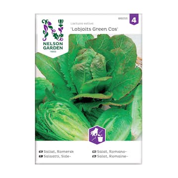 Frö Romersk sallat Nelson Garden Lobjoits Green Cos