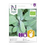 Frö Kryddsalvia Nelson Garden Organic