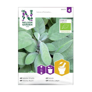 Frö Kryddsalvia Nelson Garden Organic