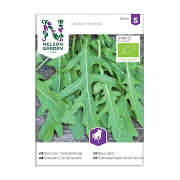 Frö Rucola Sandsenap Nelson Garden Organic
