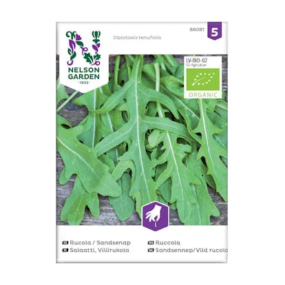 Frö Rucola Sandsenap Nelson Garden Organic