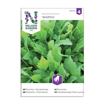 Frö Rucola Sandsenap Nelson Garden Wildfire™