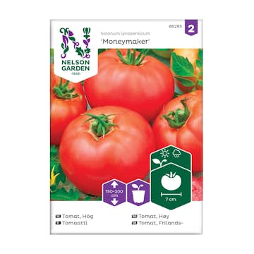 Frö Tomat Nelson Garden Moneymaker Hög