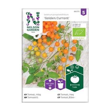 Frö Tomat Nelson Garden Golden Currant Organic Hög