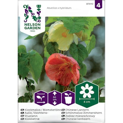 Frö Klockmalva Blomsterlönn Nelson Garden Bl färger