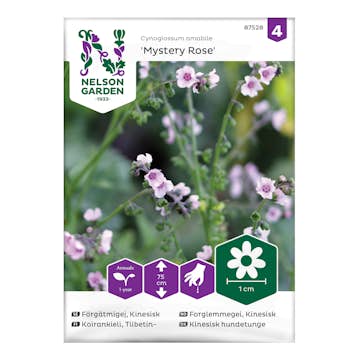 Frö Förgätmigej Nelson Garden Kinesisk Mystery Rose