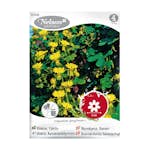 Frö Fjärilskrasse Nelson Garden gul