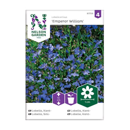 Frö Kantlobelia Nelson Garden Emperor William