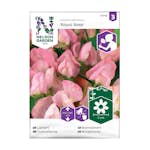 Frö Luktärt Nelson Garden Royal Ros Rosa