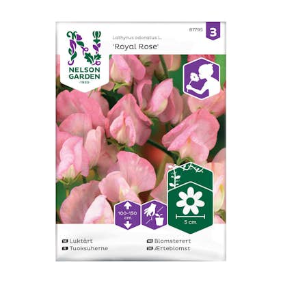 Frö Luktärt Nelson Garden Royal Ros Rosa