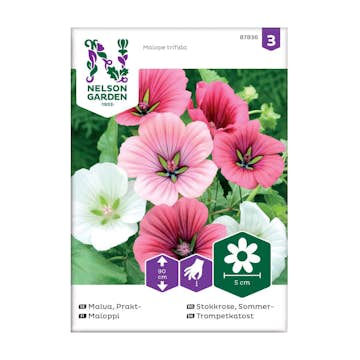 Frö Praktmalva Nelson Garden Mix