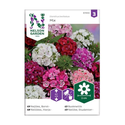 Frö Borstnejlika Nelson Garden Mix