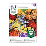 Frö Nemesia Nelson Garden Carnival Mix
