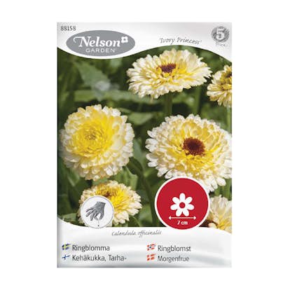 Frö Ringblomma Nelson Garden Ivory Princess