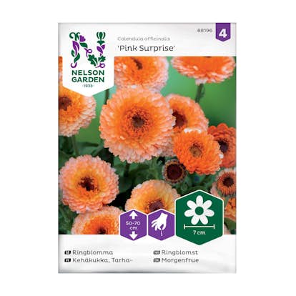 Frö Ringblomma Nelson Garden Pink Surprise