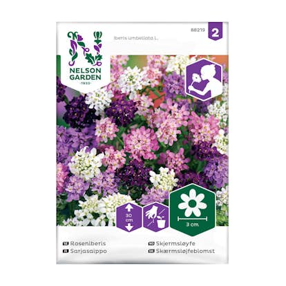 Frö Roseniberis Nelson Garden Mix