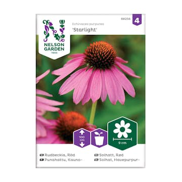 Frö Rudbeckia Nelson Garden Starlight Röd