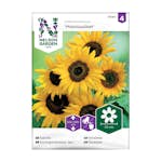 Frö Solros Nelson Garden Moonwalker Hög