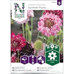 Praktvädd Nelson Garden Summer fruits