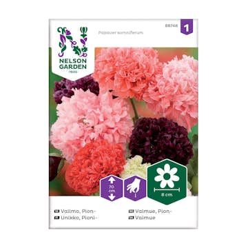 Frö Pionvallmo Nelson Garden Mix