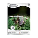 Frö Dekorationsgräs Nelson Garden Inomhus