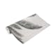 Fototapet Art For The Home Palm Lämnar 89434