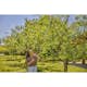 Toppsax Gardena StarCut Pro S