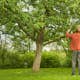 Grensax Gardena TeleCut Pro L Teleskopisk