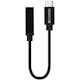 Adapter Champion USB-C till 3,5mm DAC Svart