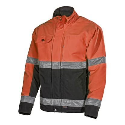 Jacka L.Brador 204PB