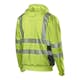 Sweatshirt L.Brador 419P