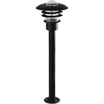 Pollare Malmbergs Björk 100 cm