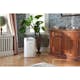 Avfuktare/Luftrenare Wood's AD30G