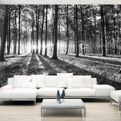 Fototapet Arkiio Självhäftande Grey Wilderness