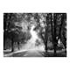 Fototapet Arkiio Path Of Memories