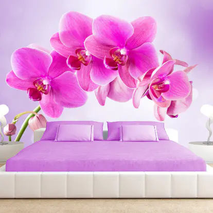 Fototapet Arkiio Självhäftande Thoughtfulness