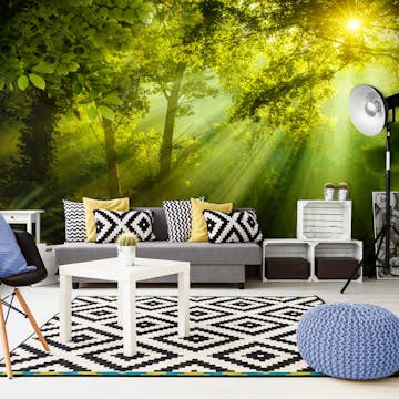 Fototapet Arkiio Självhäftande In A Secret Forest II 490x280