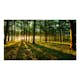 Fototapet XXL Arkiio Mystical Morning II 500x280 cm