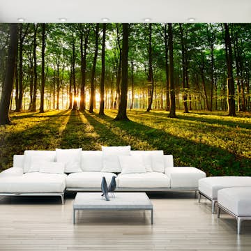 Fototapet XXL Arkiio Mystical Morning II 500x280 cm