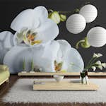 Fototapet Arkiio Phalaenopsis 450x270 cm