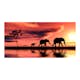 Fototapet XXL Arkiio elephants family 550x270 cm