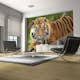 Fototapet Arkiio Sumatra Tiger