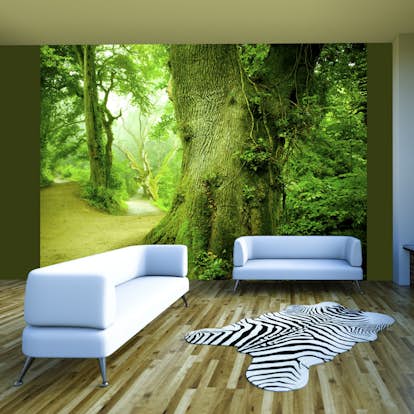 Fototapet Arkiio Skog Vägen