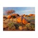 Fototapet Arkiio Afrikanska Landskapet, Namibia