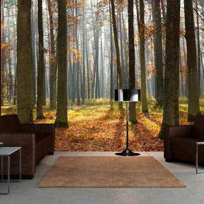Fototapet Arkiio Autumn Trees