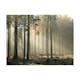 Fototapet Arkiio Foggy November Morning