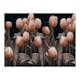 Fototapet Arkiio Ladies Among The Flowers