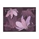 Fototapet Arkiio Dreamy Flowers